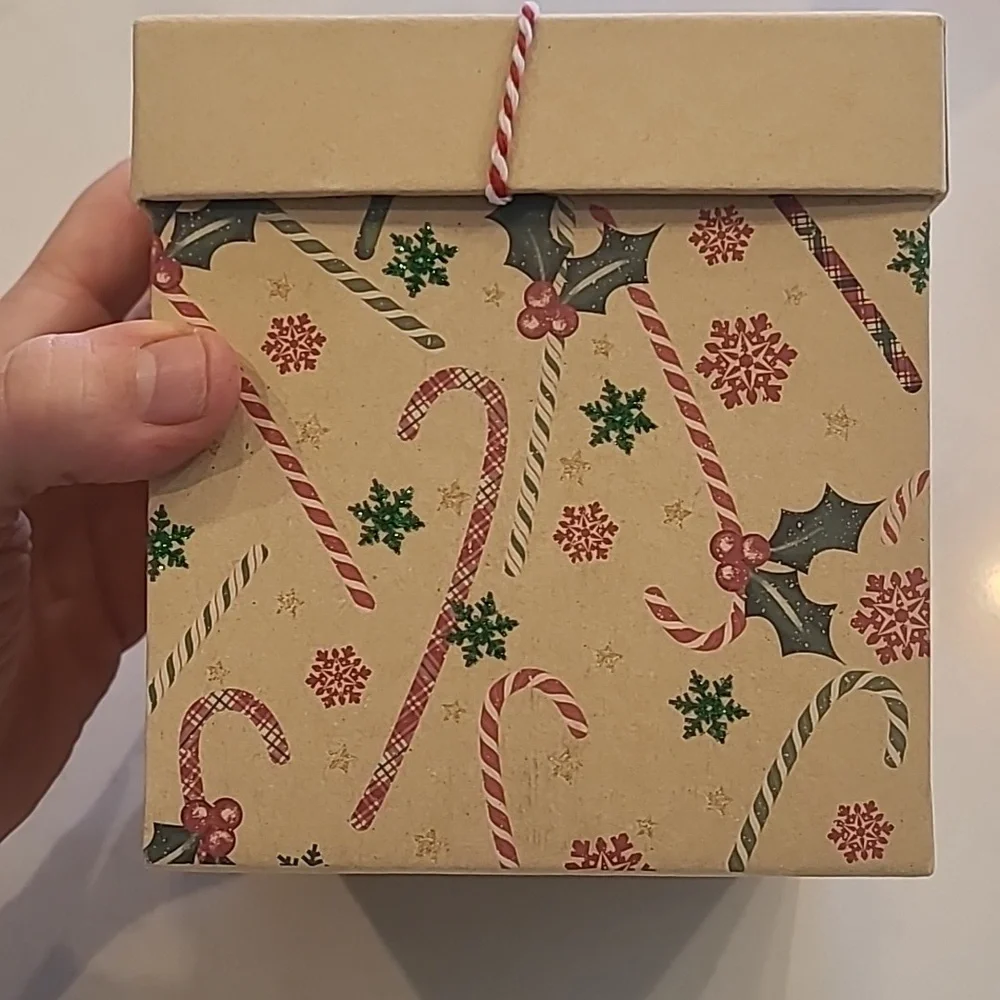 New Christmas Holiday Box